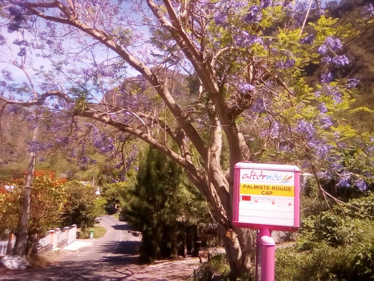 Auberge Du Cap Cilaos Dış mekan fotoğraf